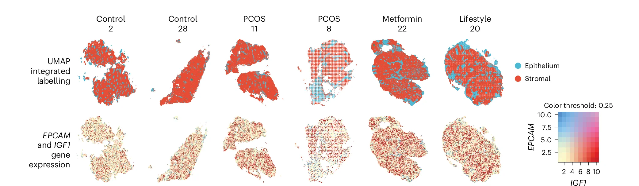 Open access visualization of UMAP, Scatter Plot, Heatmap, Spatial Transcriptomics, Stereo-seq