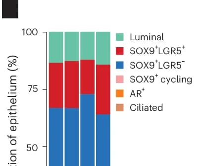 Open access visualization of Bar Plot, Stacked Bar Plot, Violin Plots, ESR1 Expression, Control Group