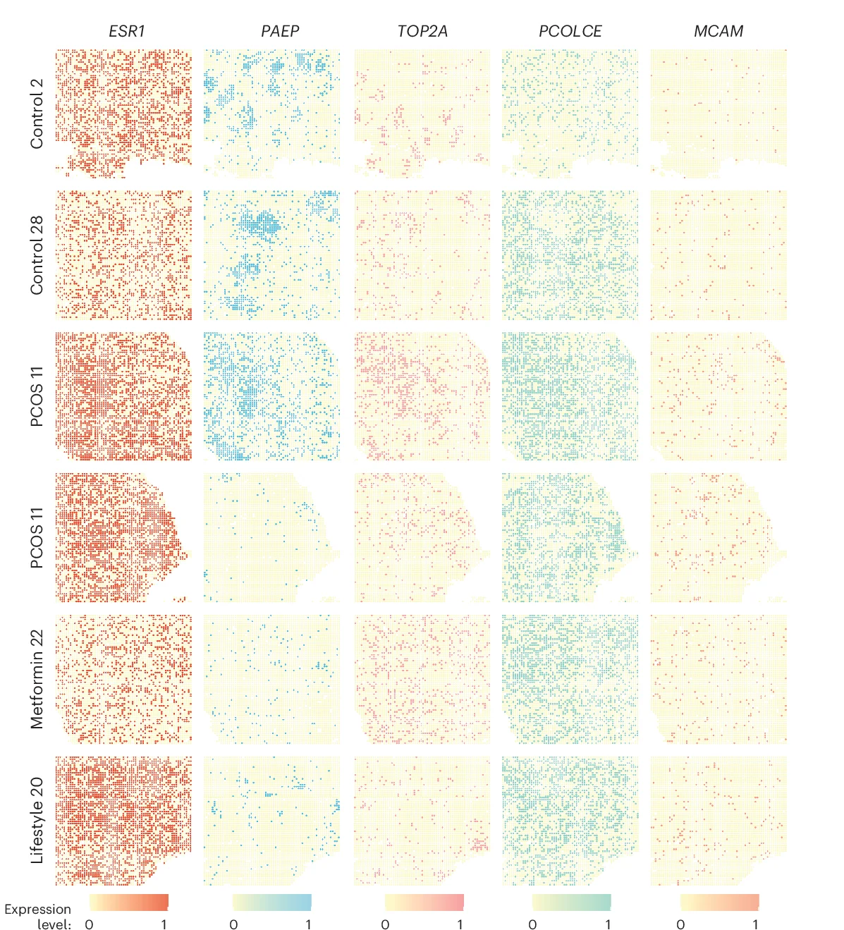 Open access visualization of Heatmap, Spatial Transcriptomic, Stereo-seq, Cell-Type Markers, Stromal Subclusters