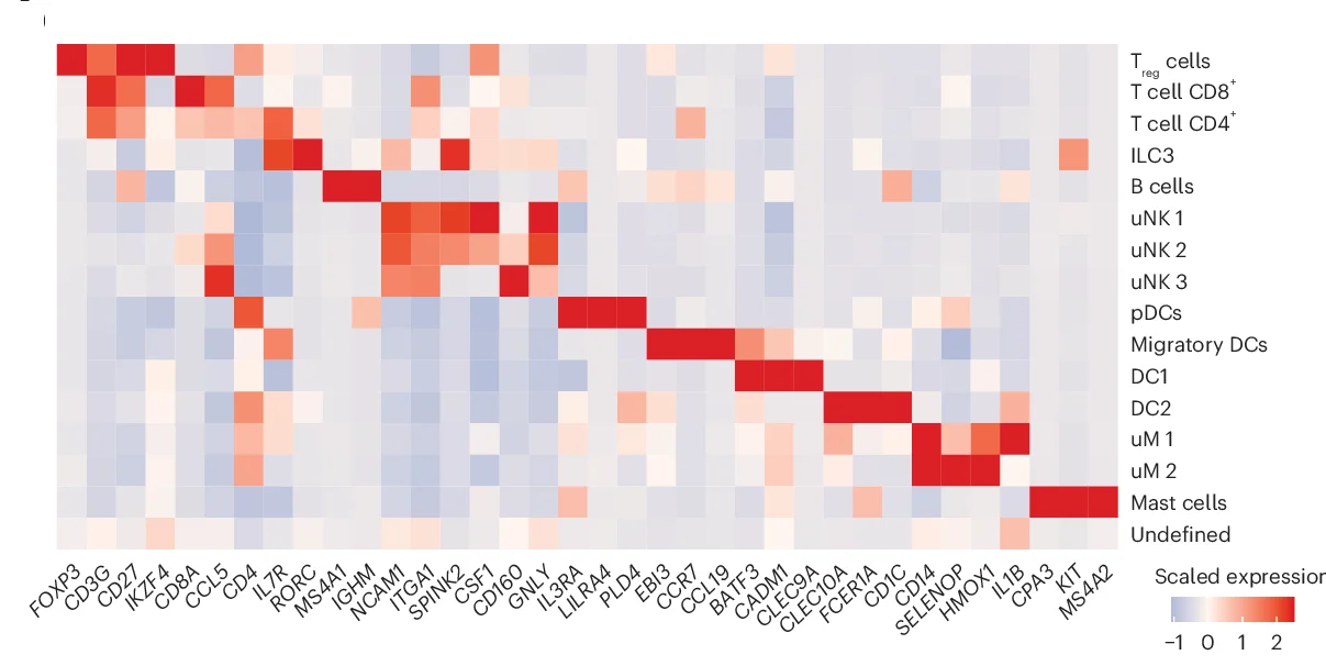 Open access visualization of Heatmap, Gene Expression, Immune Subclusters