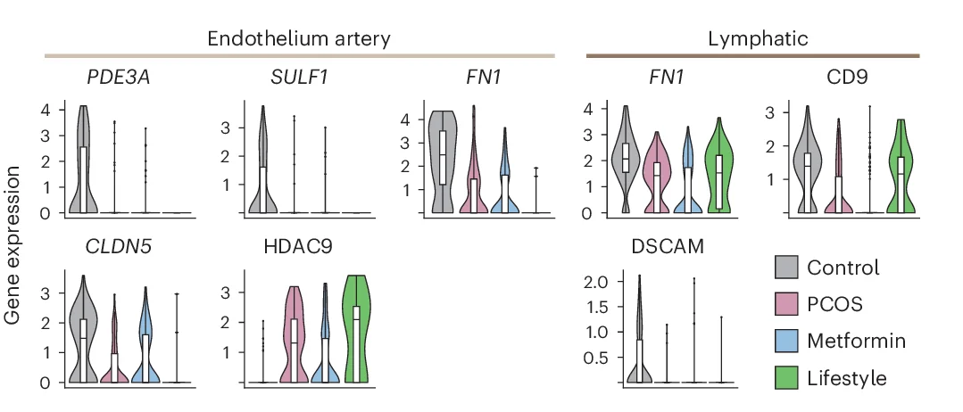 Open access visualization of Violin Plot, Box Plot, DEGs, GOs, PCOS