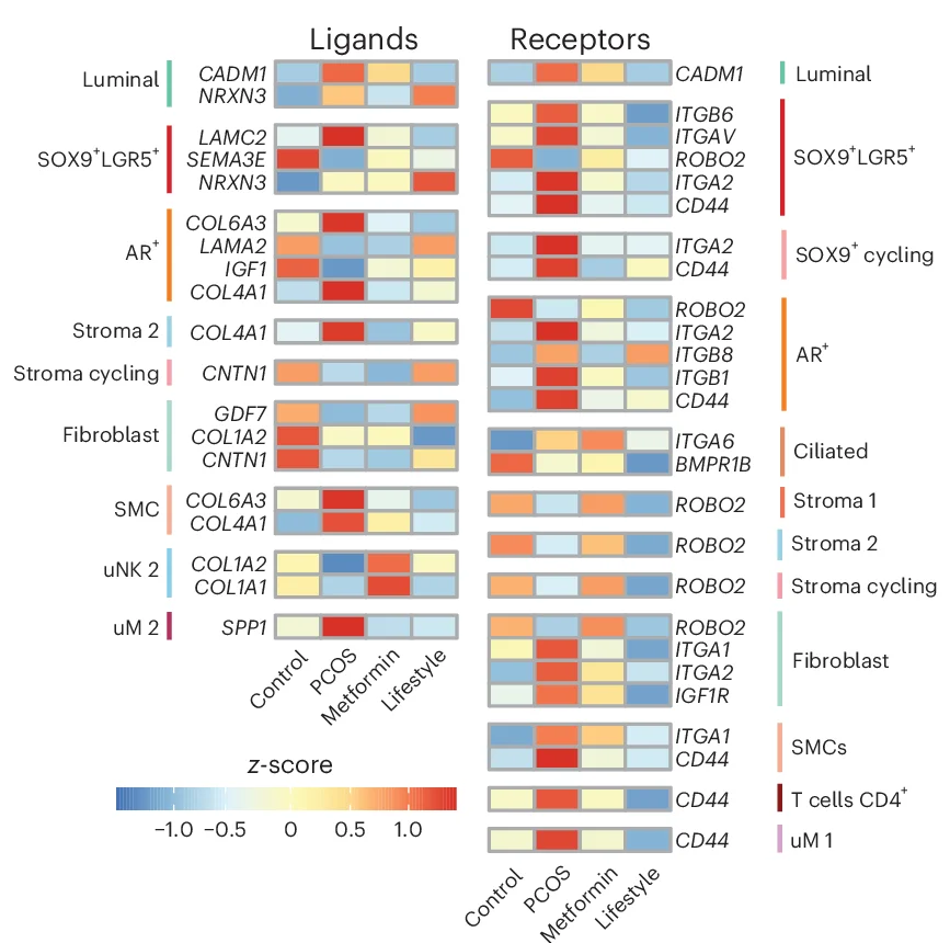 Open access visualization of Heatmap, Ligands, Receptors, Metformin, Lifestyle Treatment