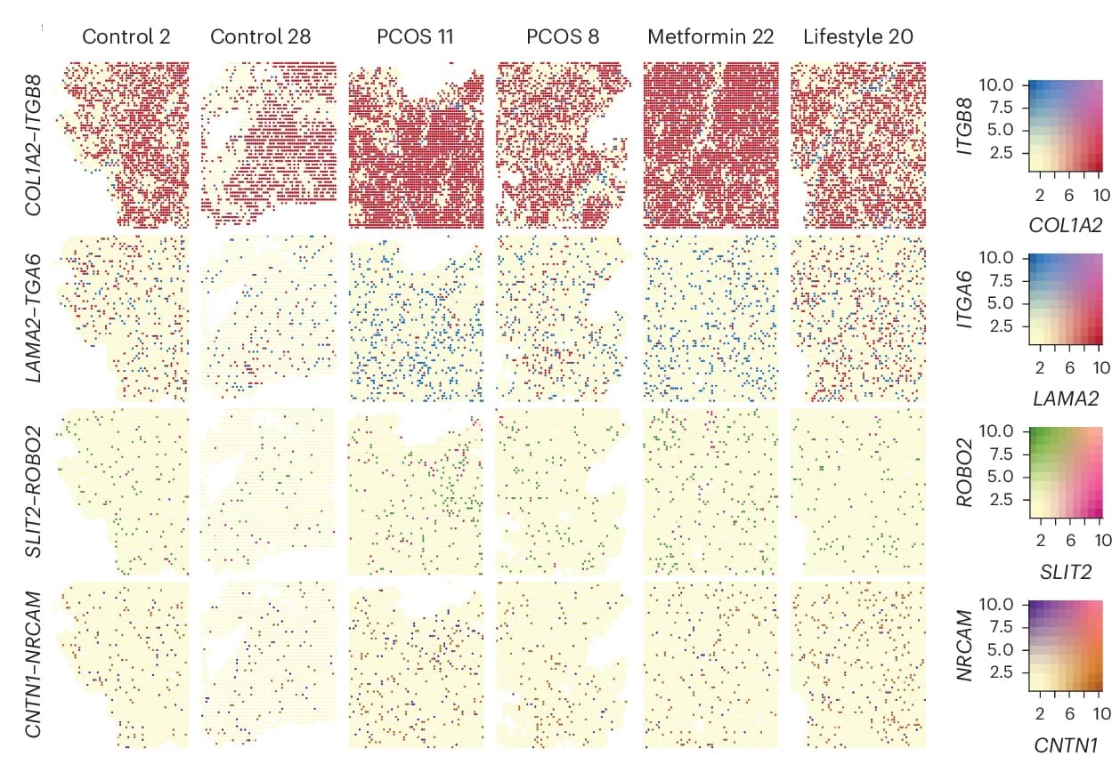 Open access visualization of Heatmap, Spatial Distribution, Gene Expression, Ligand, Receptor