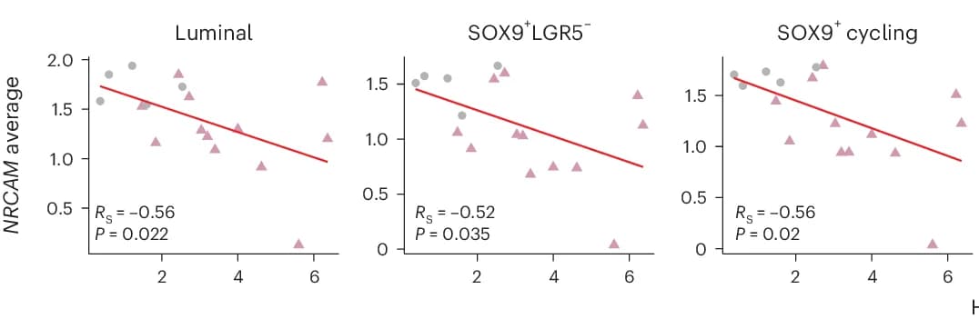 Open access visualization of Scatter Plot, Regression Plot, NRCAM1, HOMA-IR, Epithelial Subpopulations