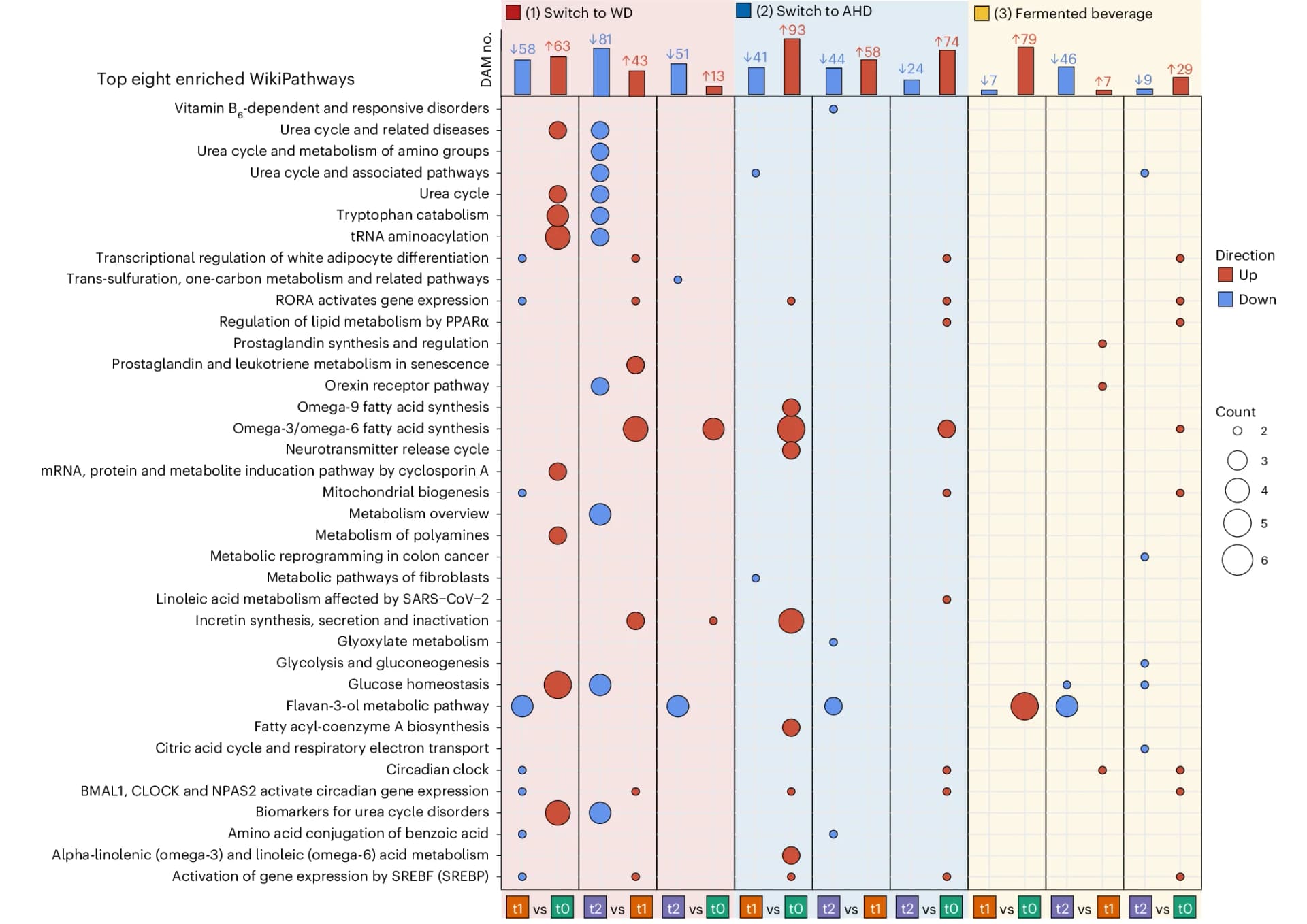 Open access visualization of Bubble Plot, Bar Plot, Dietary Arm, Time Comparison, Bar Plots