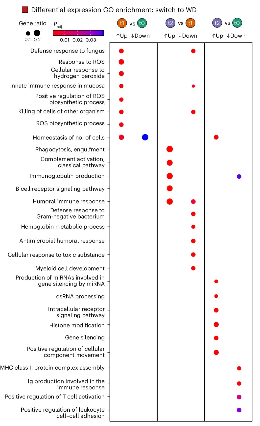 Open access visualization of Scatter Plot, Volcano Plot, Dot Plots, Gene Set Overrepresentation Analysis, GO Terms