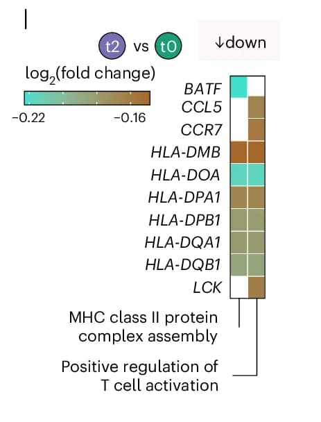 Open access visualization of Heatmap, Tile Plots, Log2 Fold Change, Genes, GO Terms