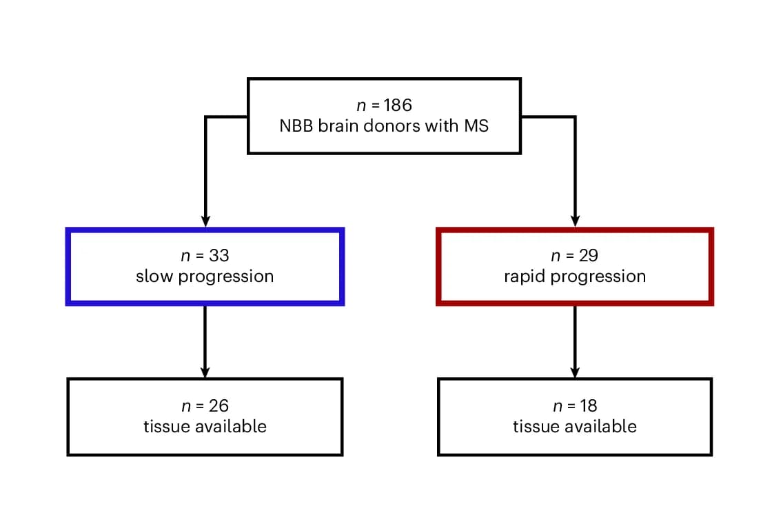 Open access visualization of Workflow, Flowchart, Patient Cohort, Stratification
