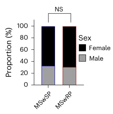 Open access visualization of Stacked Bar Plot, MSwSP Group, MSwRP Group, Sex Ratio, Fishers Exact Test