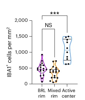 Open access visualization of Violin Plot, IBA1 Cells, BRLs, Mixed Lesions, Active Lesions