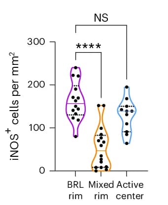 Open access visualization of Violin Plot, Box Plot, iNOS Cells, BRLs, Mixed Lesions