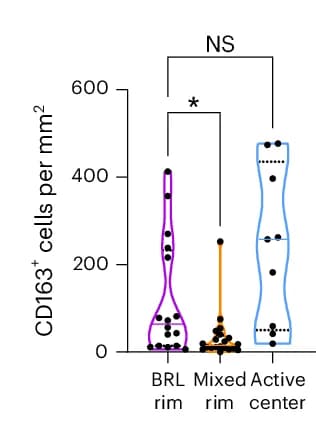 Open access visualization of Violin Plot, CD163 Cells, BRLs, Mixed Lesions, Active Lesions