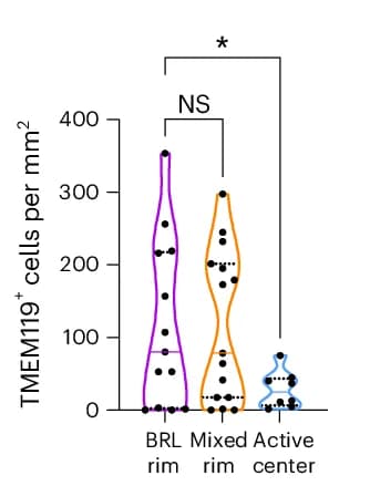 Open access visualization of Violin Plot, TMEM119 Cells, BRLs, Mixed Lesions, Active Lesions