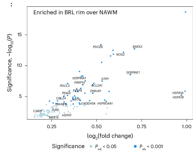 Open access visualization of Scatter Plot, Volcano Plot, DEGs, BRL Rim, NAWM