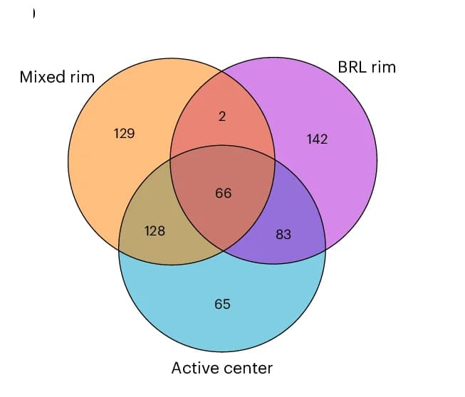 Open access visualization of Venn Diagram, GSEA, DEGs, Lesional CD68+ Cells, NAWM