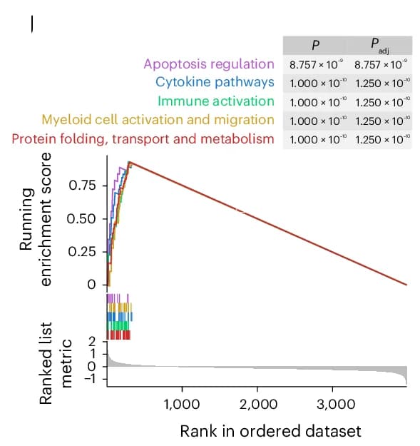 Open access visualization of Line Plot, Bar Plot, GSEA, GSEA GO Term Analysis, Gene Sets