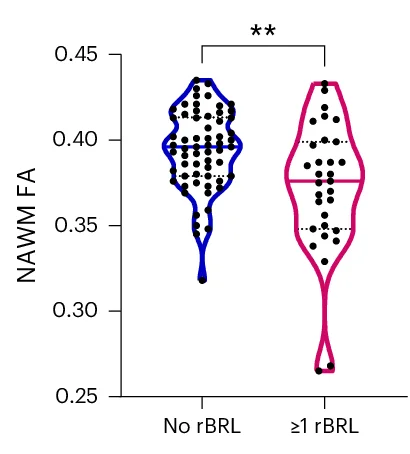 Open access visualization of Violin Plot, Scatter Plot, rBRLs, Patients, FA