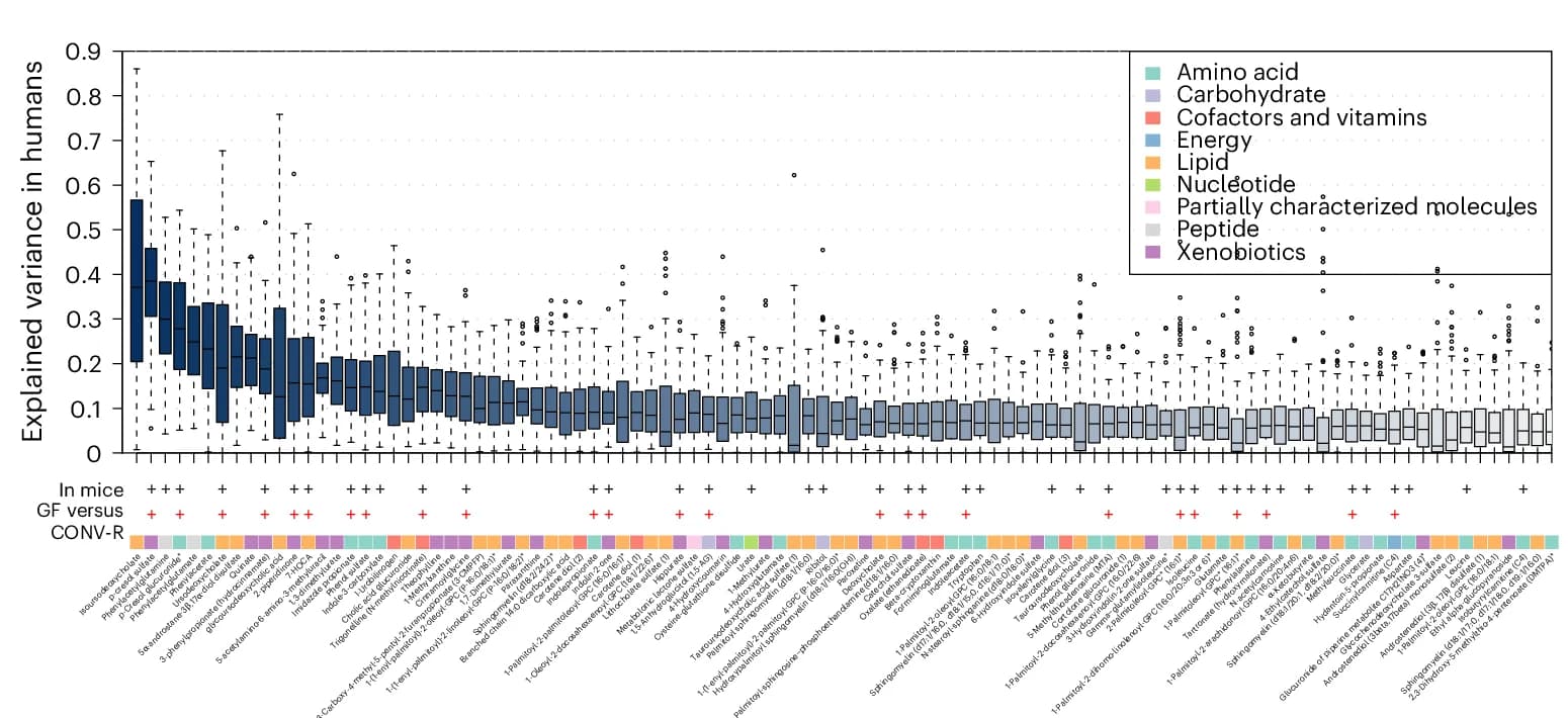 Open access visualization of Box Plot, Metabolites, Explained Variance, Microbiome, Plasma Levels