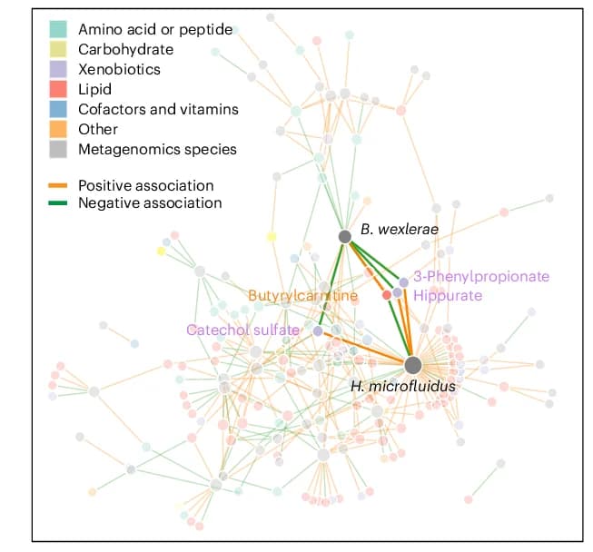 Open access visualization of Network, Pathway, MGS-Metabolite Pairs, SHAP Values