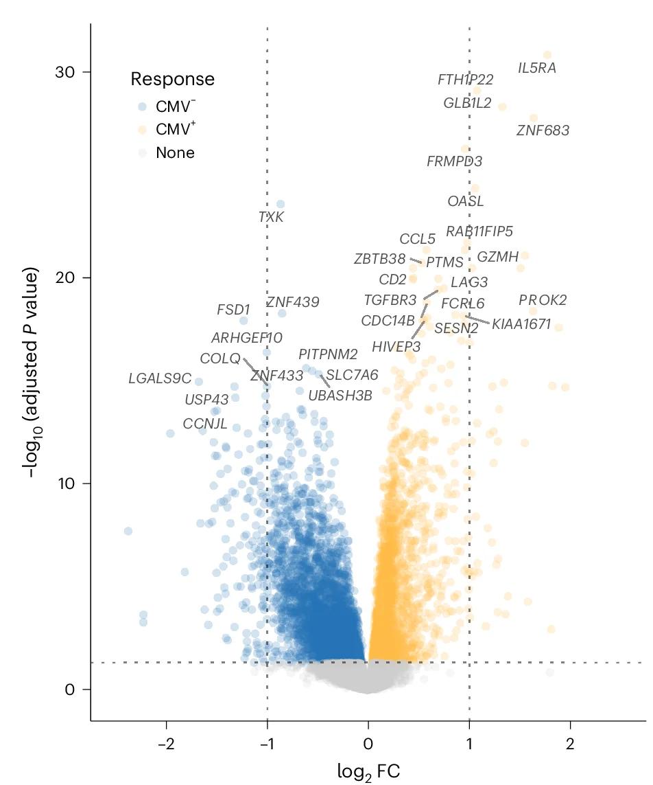 Open access visualization of Volcano Plot, Scatter Plot, Differentially Expressed Genes, CMV, CD8+ T Cells