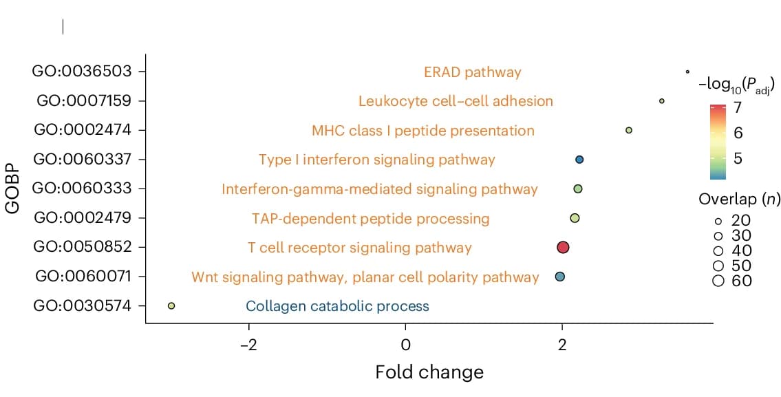 Open access visualization of Scatter Plot, Volcano Plot, Gene Ontology Biological Process, Differentially Expressed Genes, T Cell Activation
