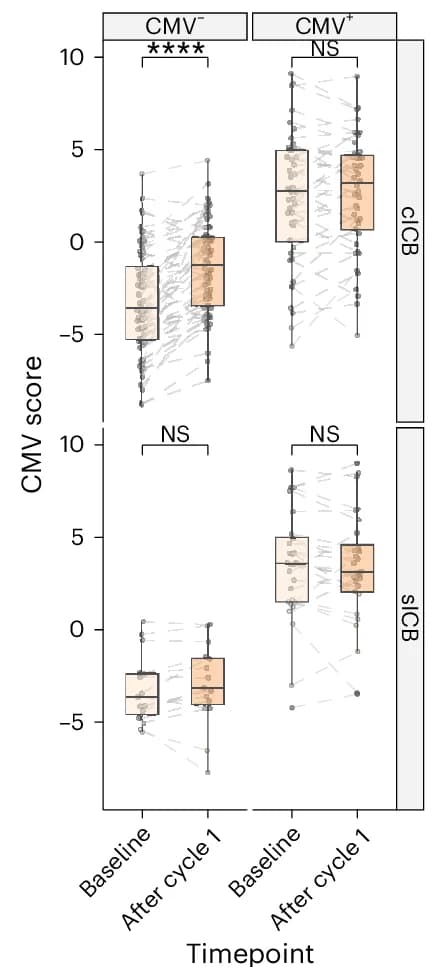 Open access visualization of Box Plot, Scatter Plot, cICB Treatment, CMV Score, sICB Treatment