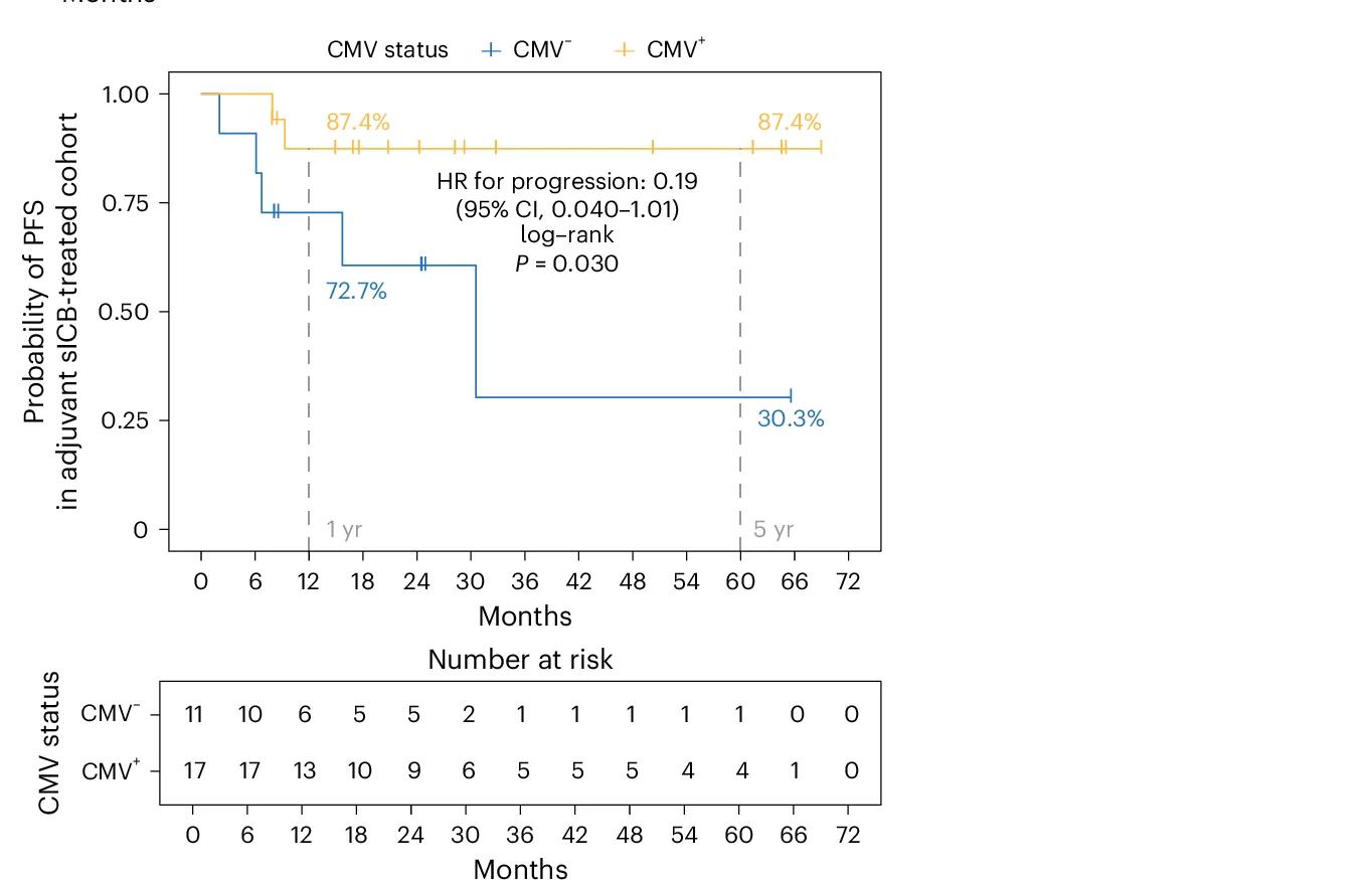 Open access visualization of Survival Curve, Table Image, Progression-Free Survival, Stage II/III Resectable Patients, sICB Treatment