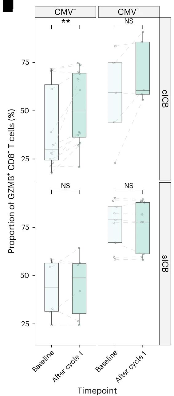 Open access visualization of Box Plot, Scatter Plot, TBX21, CD8+ T Cells, sICB
