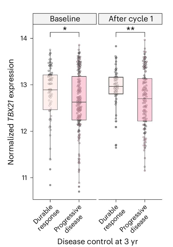 Open access visualization of Box Plot, Scatter Plot, Bulk CD8+ TBX21, Disease Control, Systemic Treatment