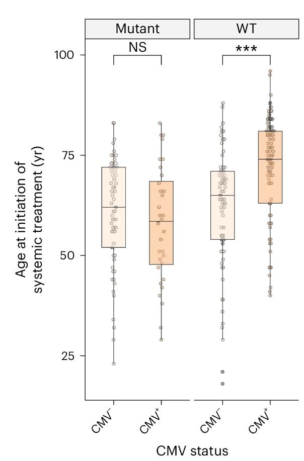 Open access visualization of Box Plot, Scatter Plot, MM, BRAF V600 Mutation Status, CMV Serostatus