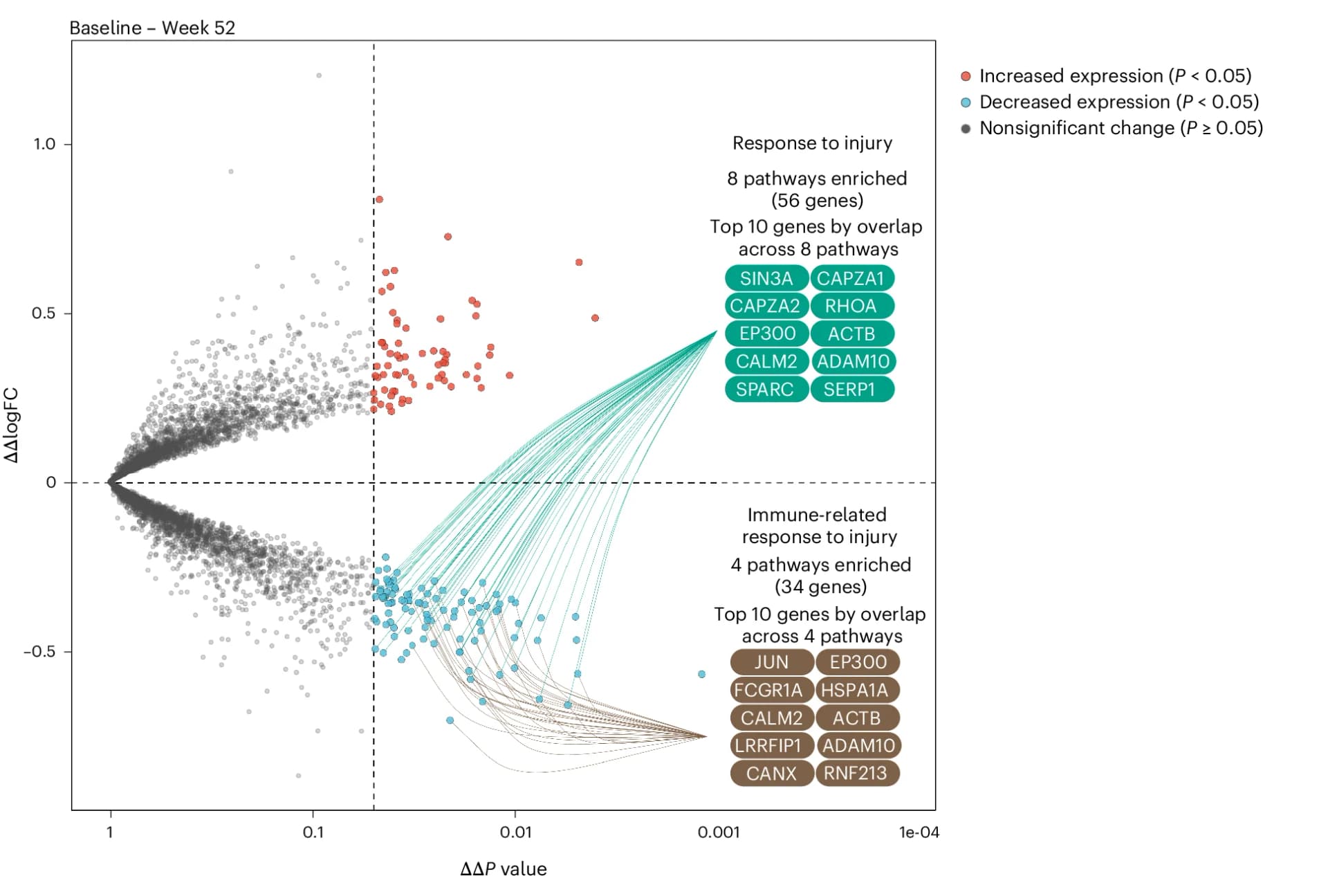 Open access visualization of Scatter Plot, Volcano Plot, Felzartamab, Gene Expression, Functional Enrichment