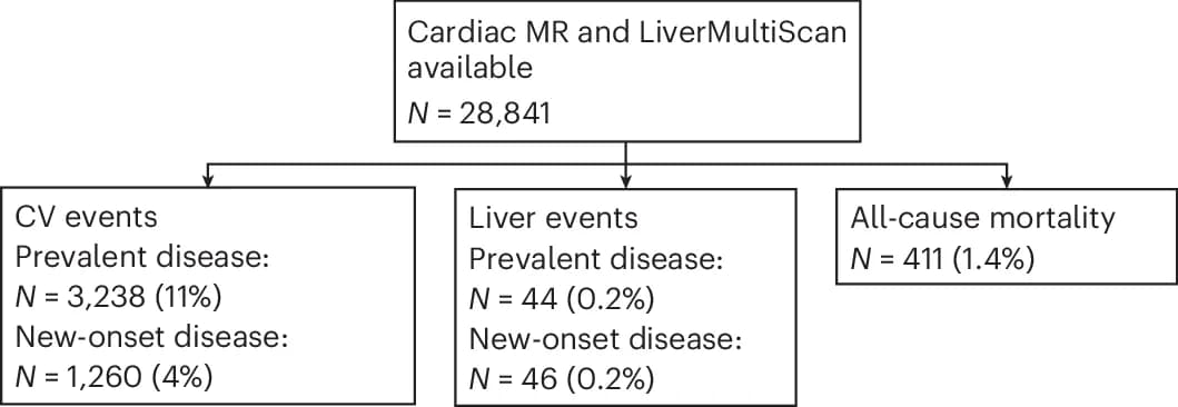 Open access visualization of Workflow, Flowchart, Cardiovascular Events, Liver Events, Mortality