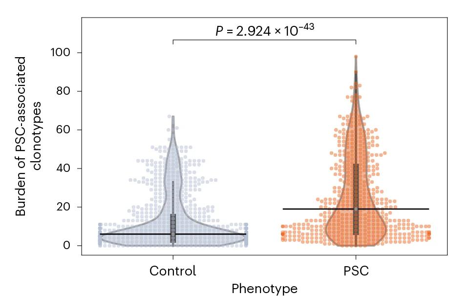 Open access visualization of Violin Plot, Box Plot, Scatter Plot, Primary Sclerosing Cholangitis, Meta-clonotypes