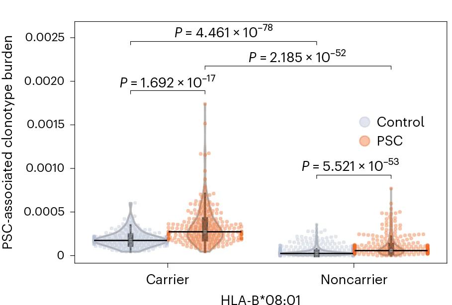 Open access visualization of Violin Plot, Box Plot, Scatter Plot, Primary Sclerosing Cholangitis, HLA-B*08:01