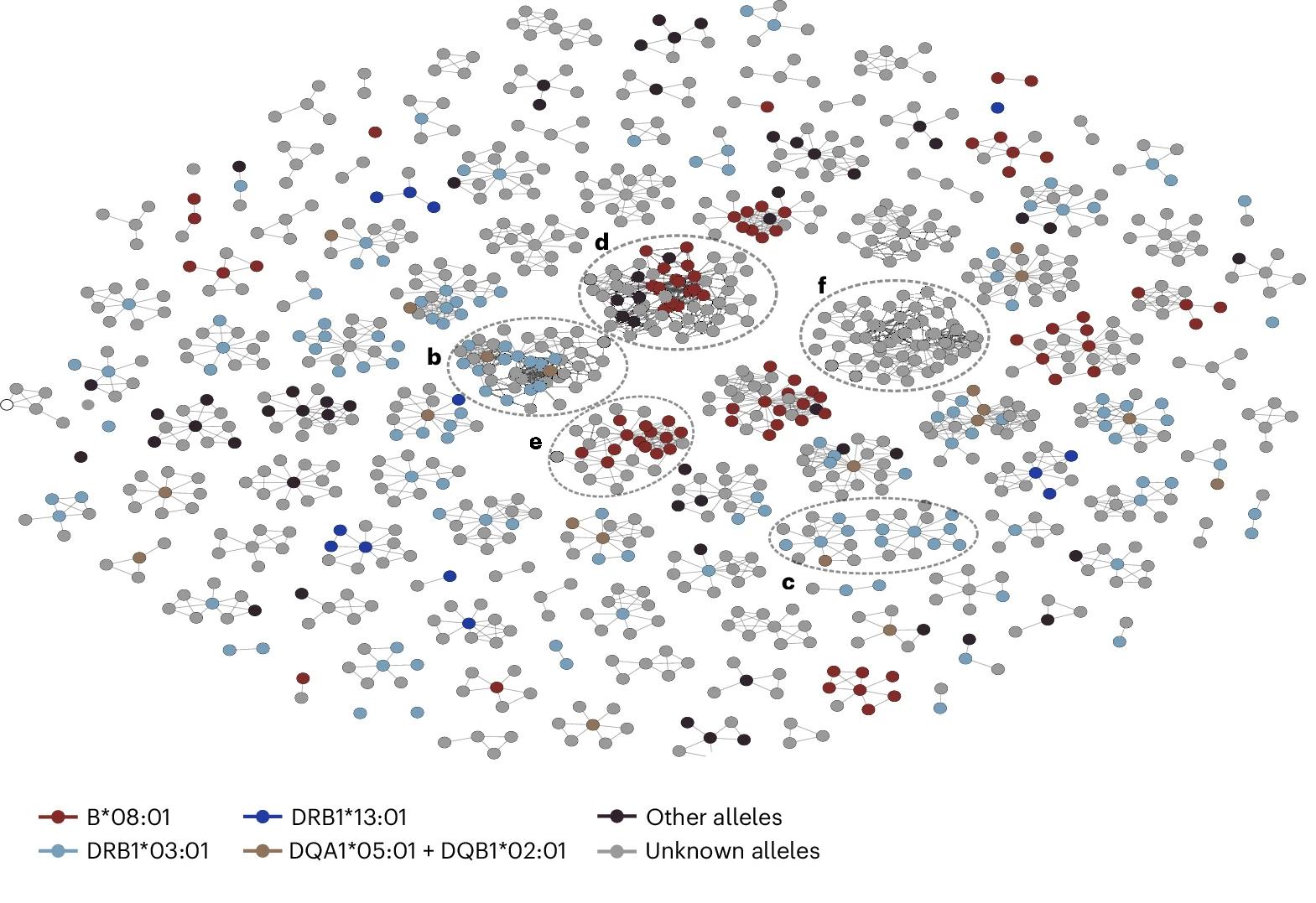 Open access visualization of Network, Primary Sclerosing Cholangitis, Clonotypes, Clusters, V Gene