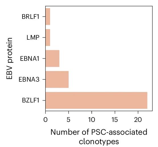 Open access visualization of Bar Plot, EBV BZLF1 Protein, PSC-associated Clonotypes, MIRA Database, EBV Proteins