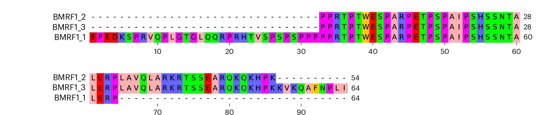 Open access visualization of Illustration, Antigenic Region, BMRF1, Peptides, Amino Acids