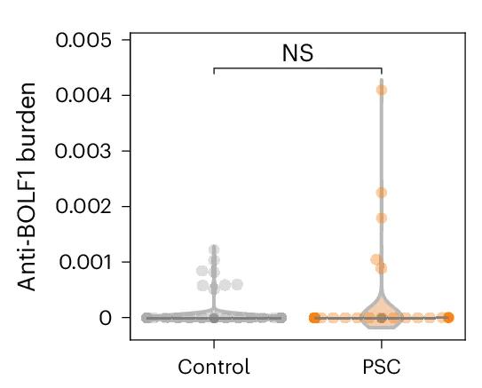 Open access visualization of Violin Plot, Scatter Plot, EBV, Lytic Phase Proteins, BOLF1