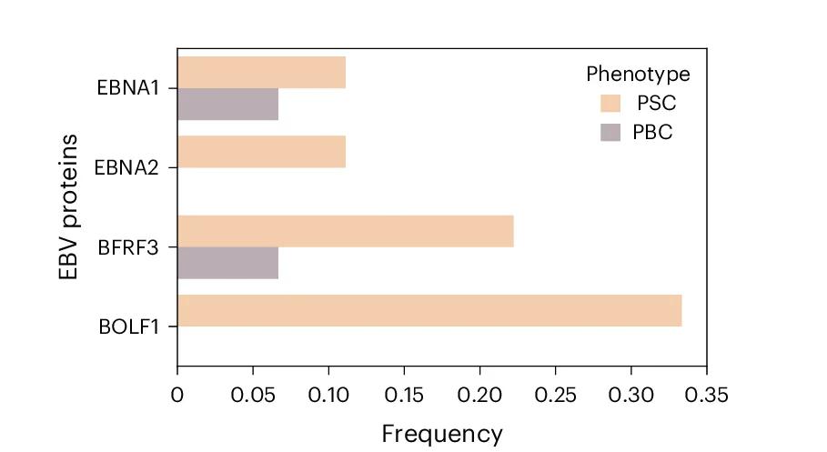 Open access visualization of Bar Plot, Clustered, EBV Monoclonal Antibodies, B Cells, Liver