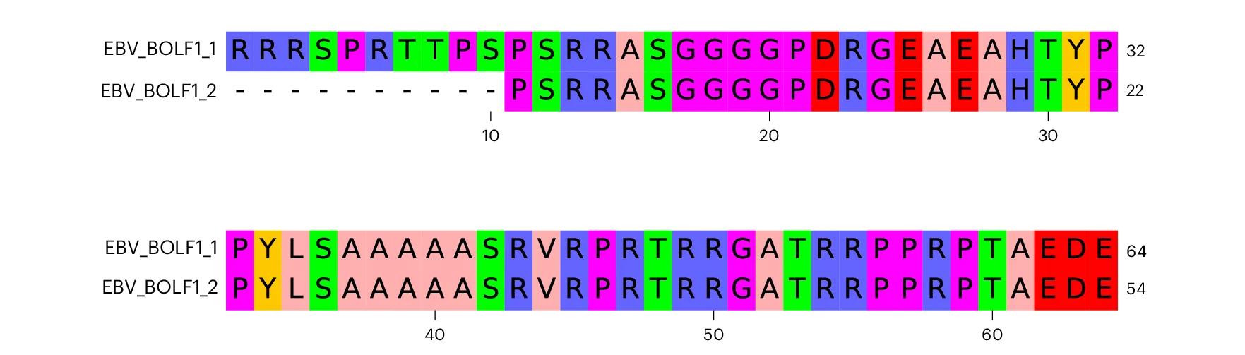 Open access visualization of Illustration, Antigenic Region, BOLF1, Monoclonal Antibodies, Liver