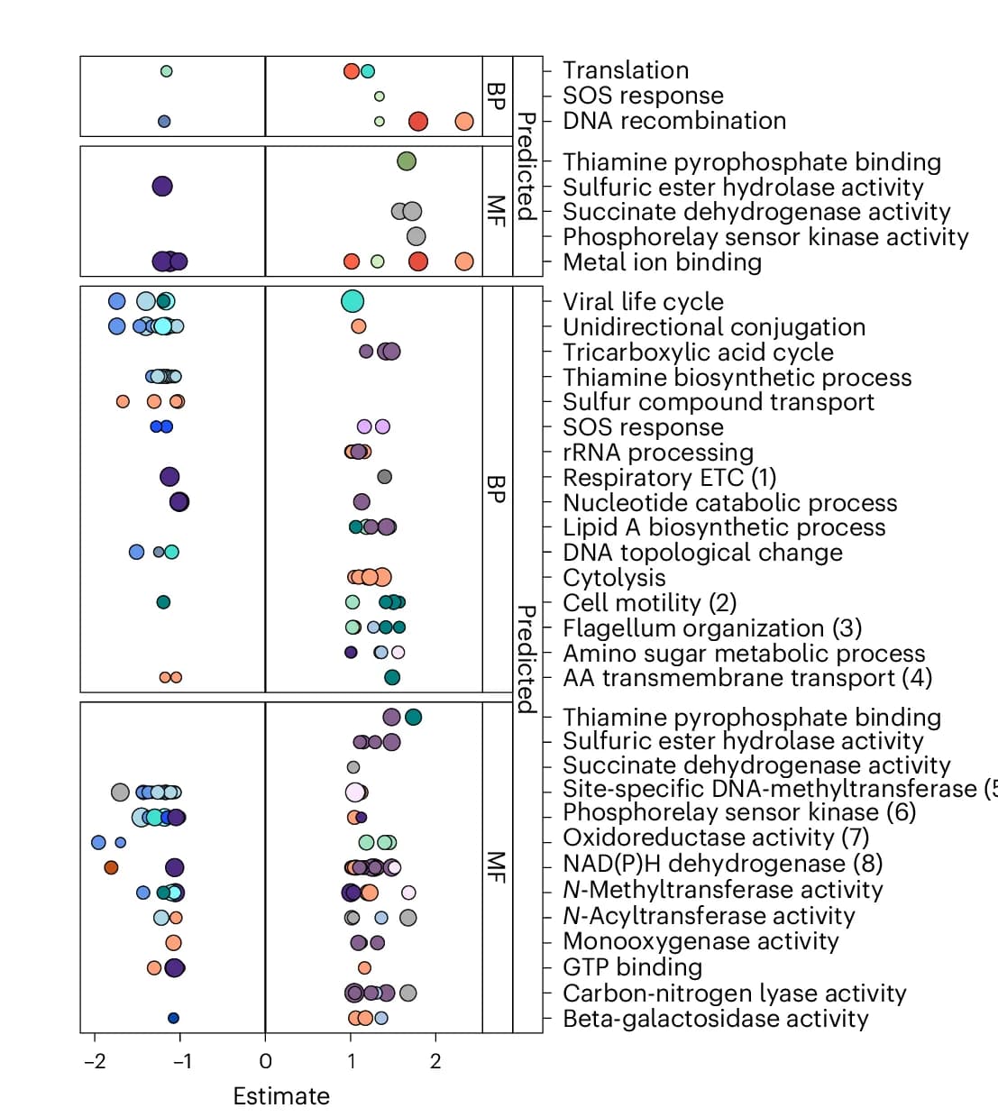 Open access visualization of Bubble Plot, GO Terms, UniRef90s, CRC, Biological Processes