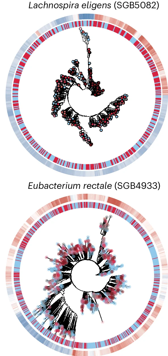 Open access visualization of Network, Scatter Plot, Bar Plot, Heatmap, Subclade Clustering