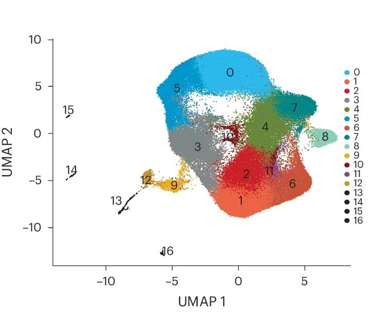 Open access visualization of UMAP, Dimensionality Reduction, Patients