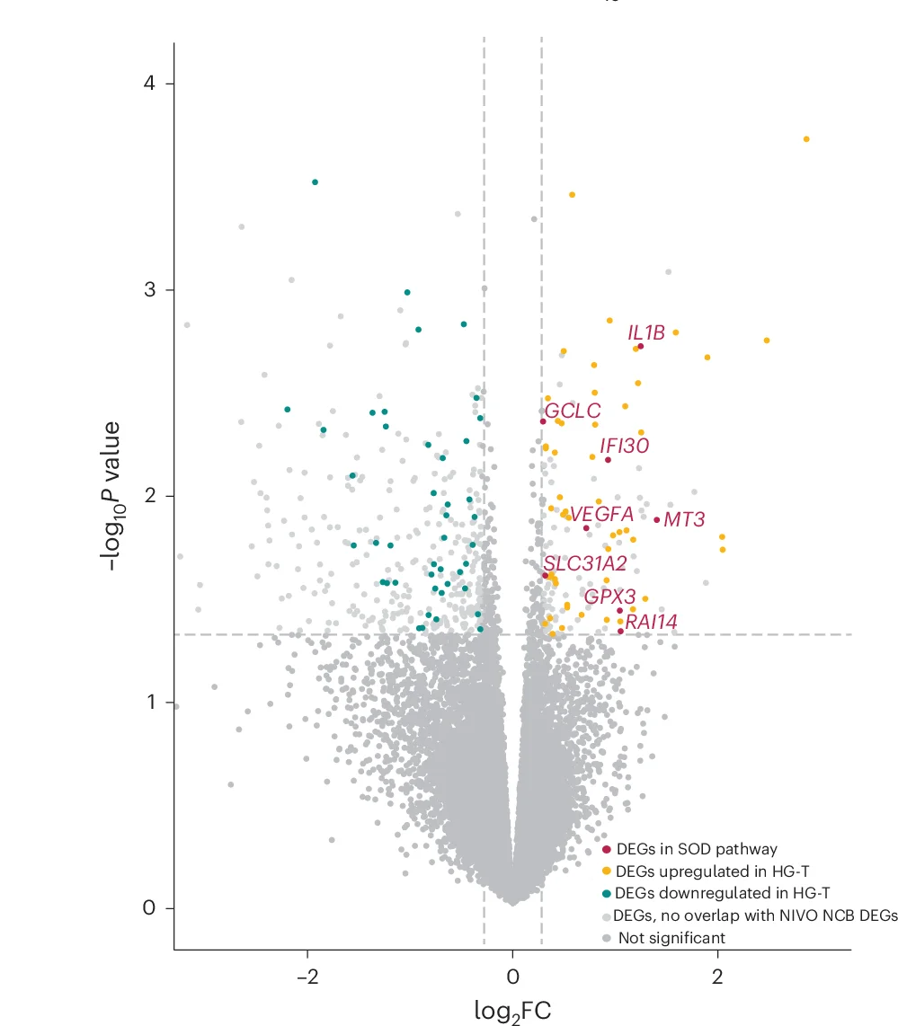 Open access visualization of Volcano Plot, Differential Expression Analysis, DEGs, SOD Pathway, HG-T