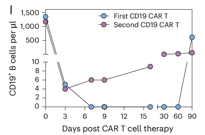 Open access visualization of Line Plot, Scatter Plot, CD19 B Cells, Blood