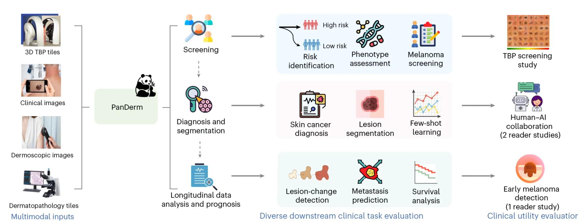 Open access visualization of Workflow, Flowchart, Illustration, Survival Curve, Line Plot