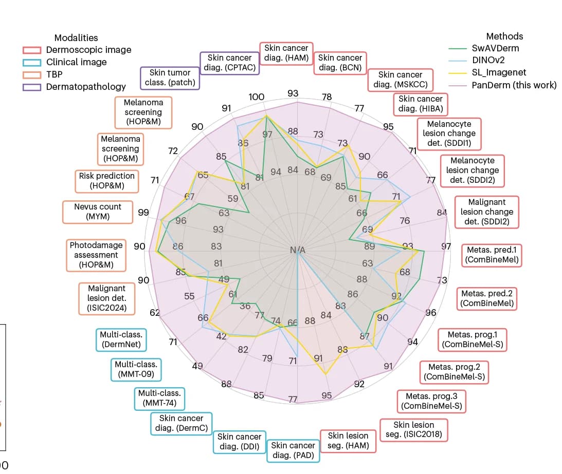 Open access visualization of Radar Chart, Line Plot, ViT-large encoder, Regressor, CLIP-based teacher model