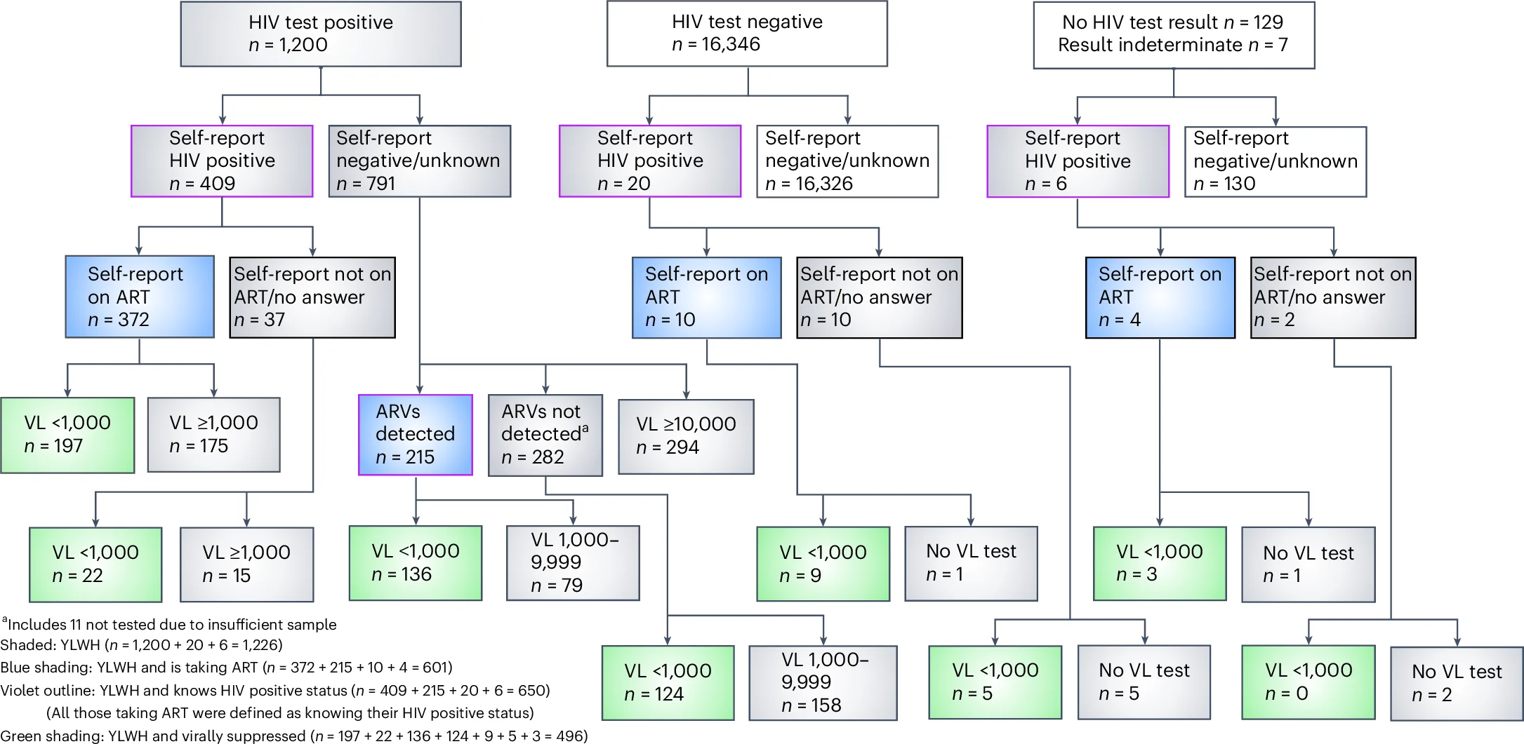 Open access visualization of Workflow, Flowchart, HIV, Antiretroviral Therapy, Viral Load