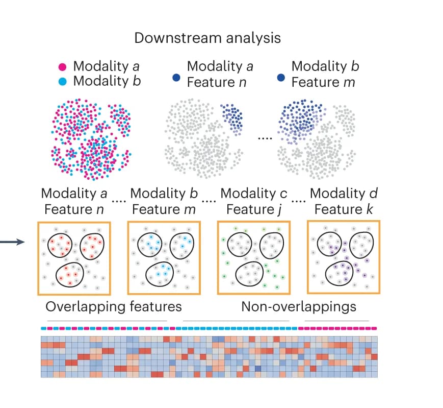 Open access visualization of Scatter Plot, Heatmap, MARIO pipeline, Downstream analysis