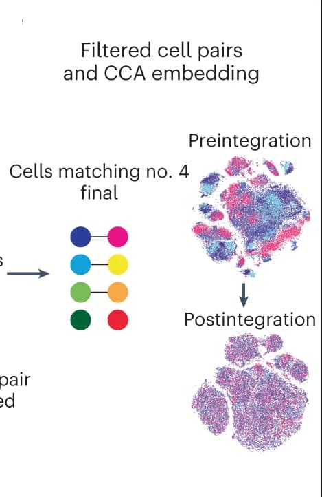 Open access visualization of Scatter Plot, UMAP, Workflow, MARIO, Cell matching